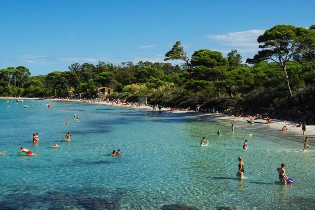 Studio Zen Sud Plage A Pied Pin Rolland Sablettes Saint-Elme Luaran gambar